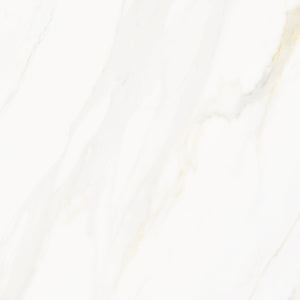 Venus Alpe AC 24x24 Textured Marble Look Porcelain Tile