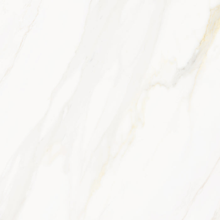 Venus Alpe AC 24x24 Textured Marble Look Porcelain Tile 1