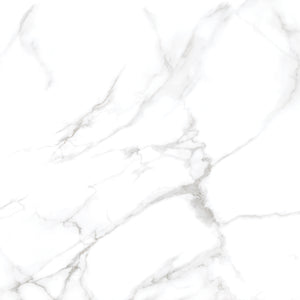 Silver Moon 24x24 Polished Marble Look Porcelain Tile
