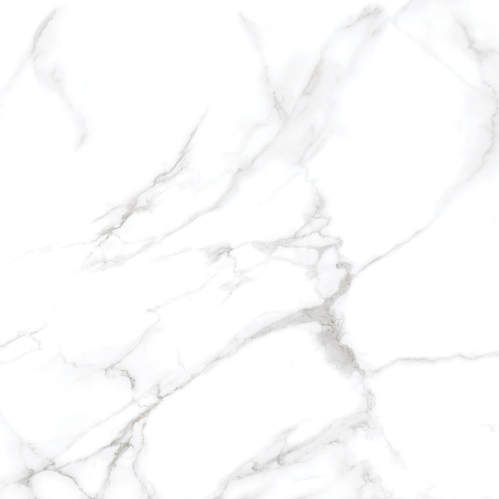 Silver Moon 24x24 Polished Marble Look Porcelain Tile 4