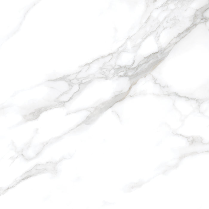 Silver Moon 24x24 Polished Marble Look Porcelain Tile 1