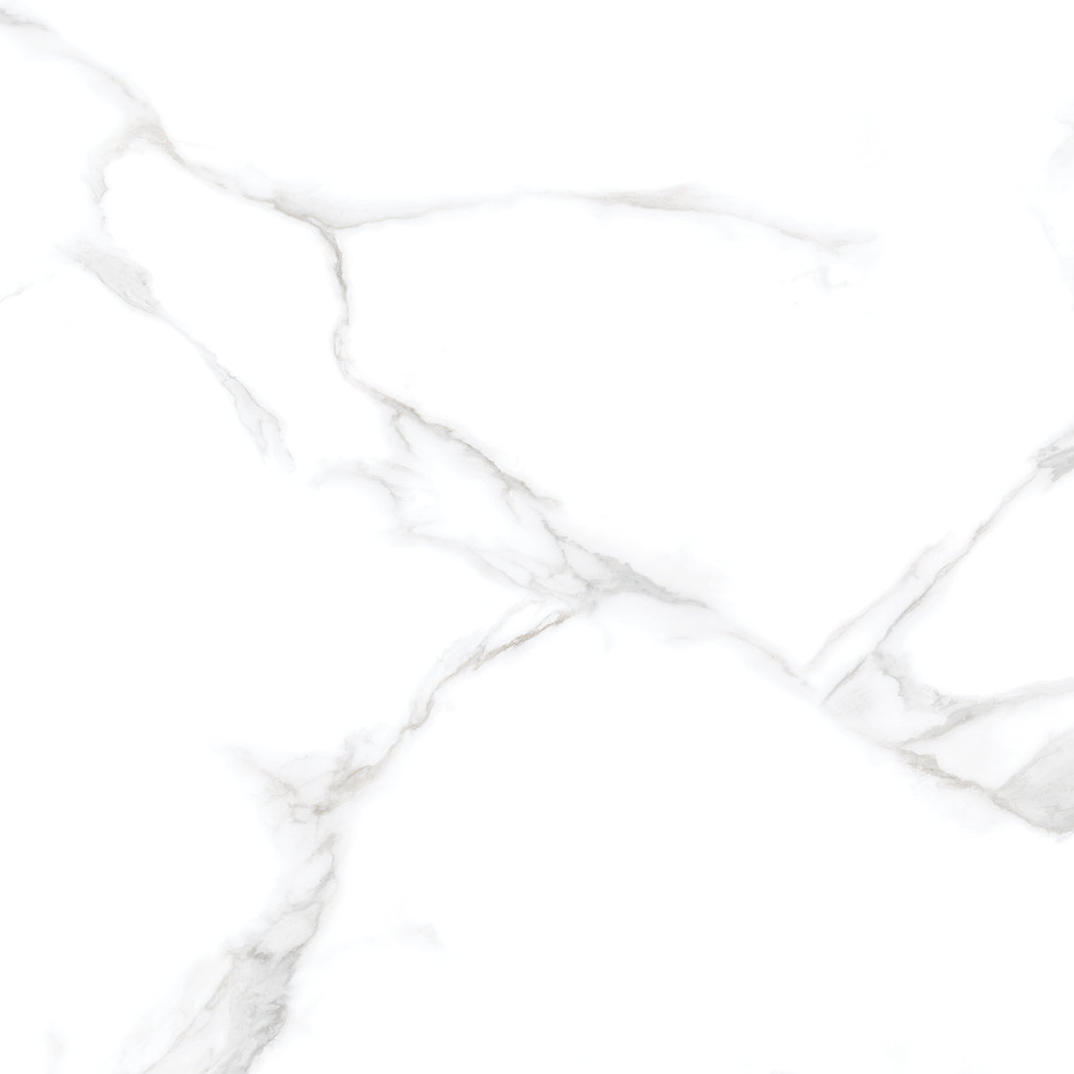 Silver Moon 24x24 Polished Marble Look Porcelain Tile