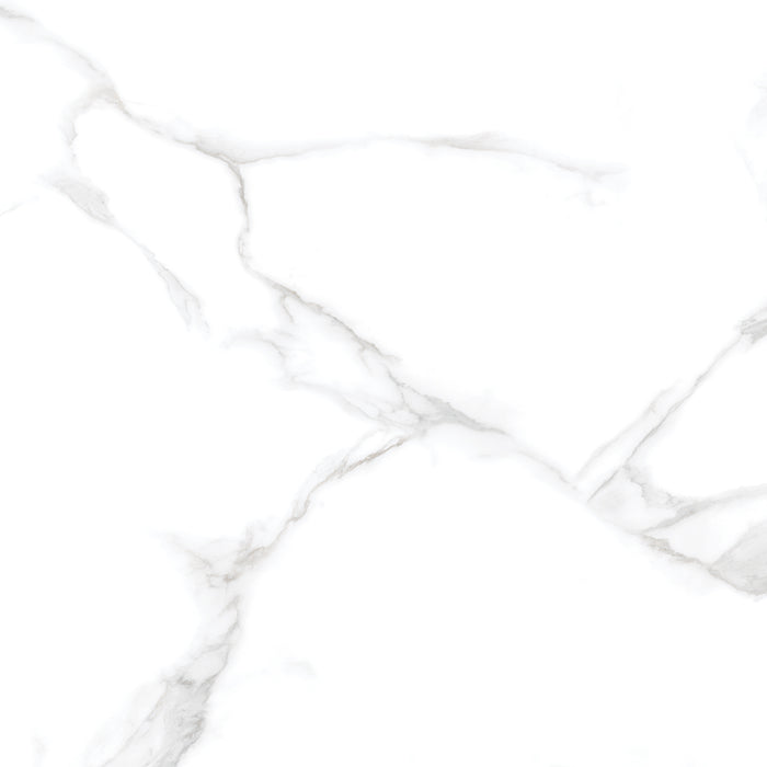 Silver Moon 24x24 Polished Marble Look Porcelain Tile 5