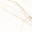 T113527