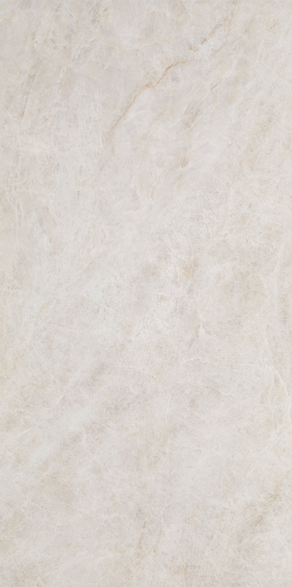 Taj Opus Palace Blanco Pulido 12x24