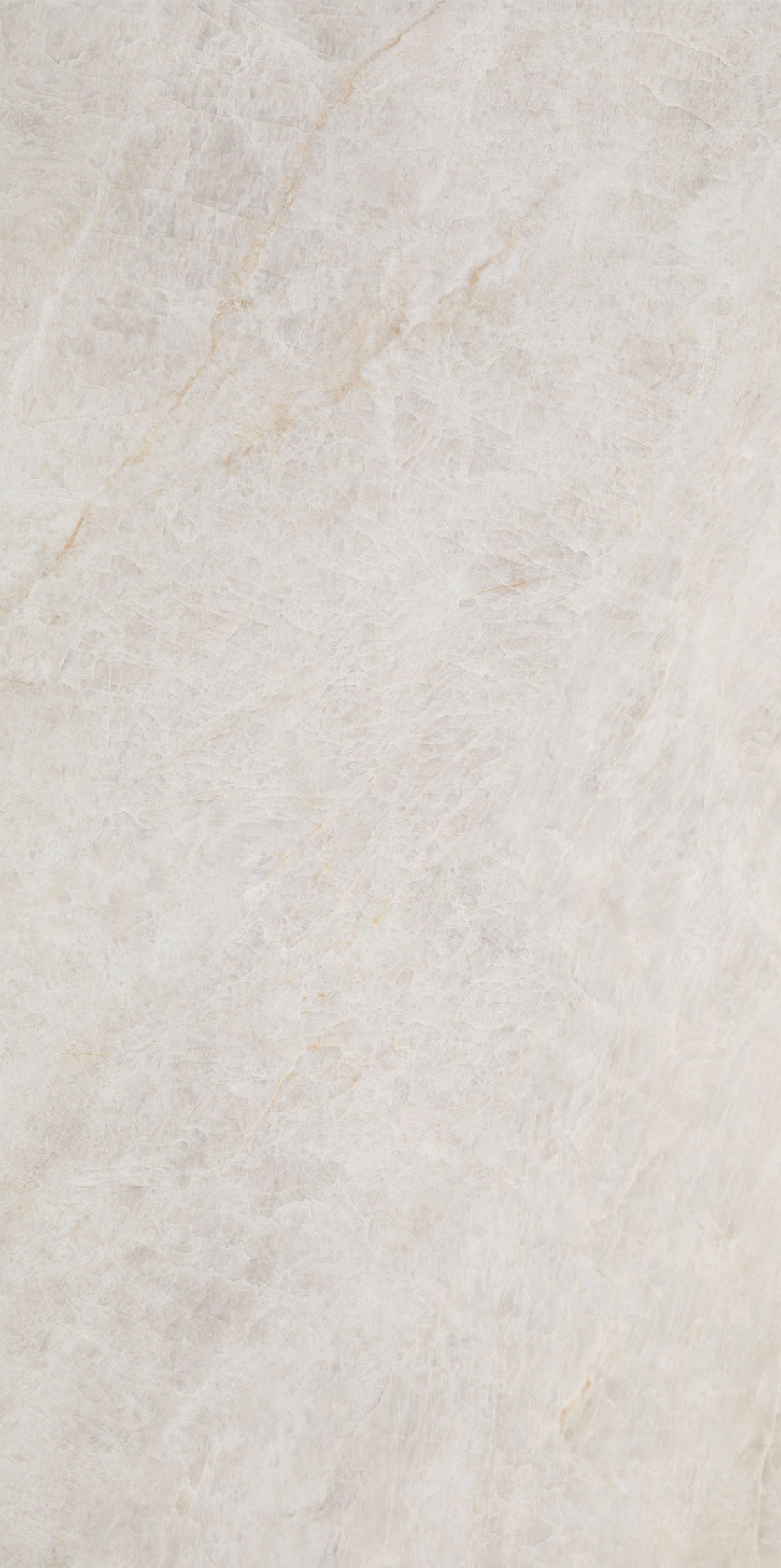 Taj Opus Palace Blanco Pulido 12x24