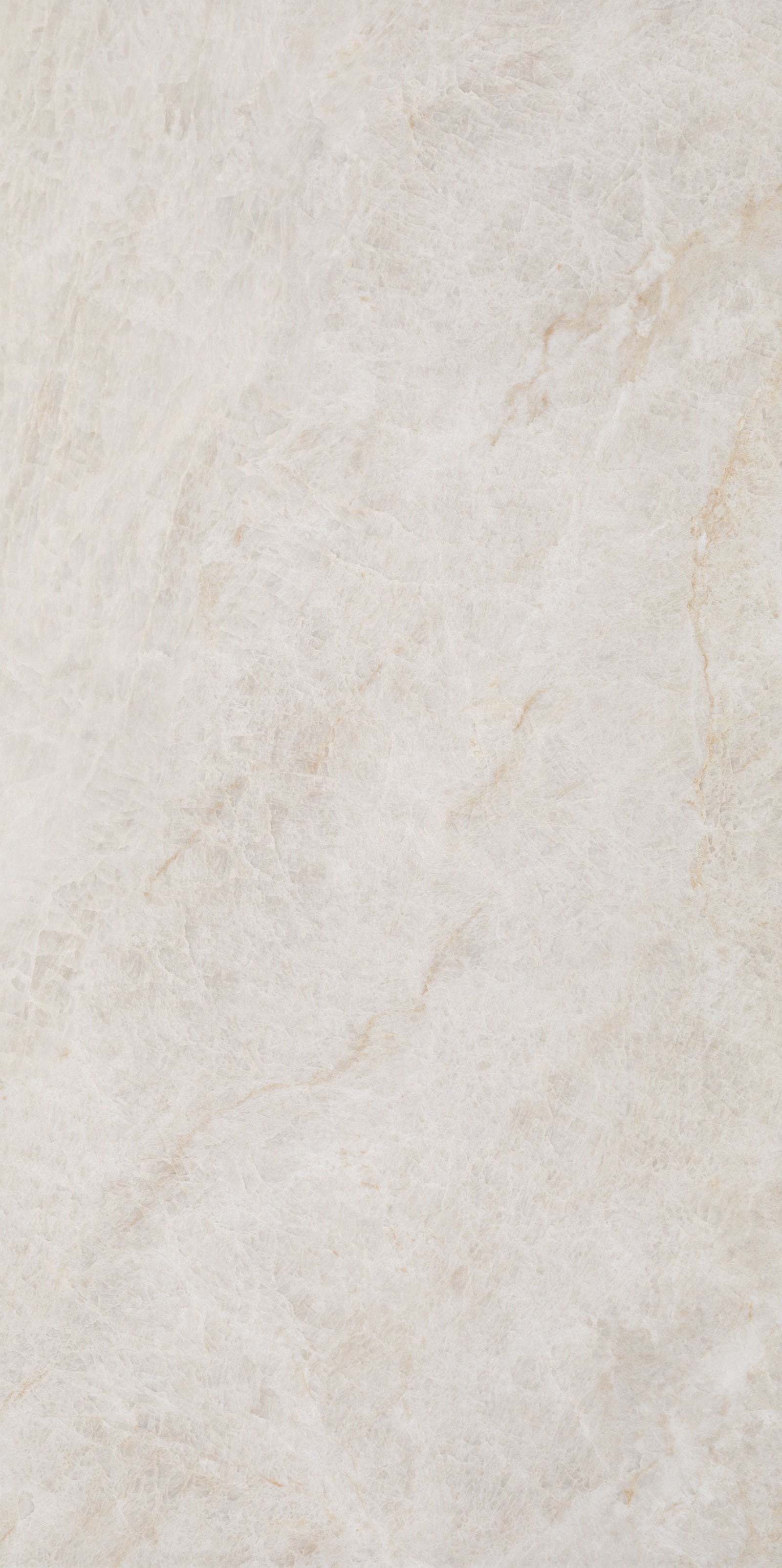 Taj Opus Palace Blanco Pulido 12x24