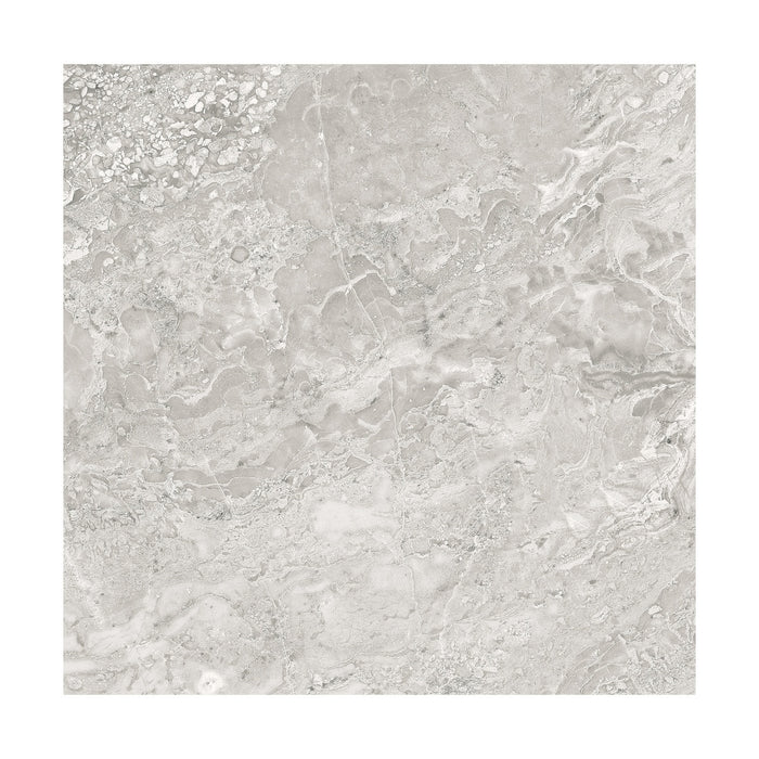 Brescia Grey 22x22 Porcelain Floor Tile 5