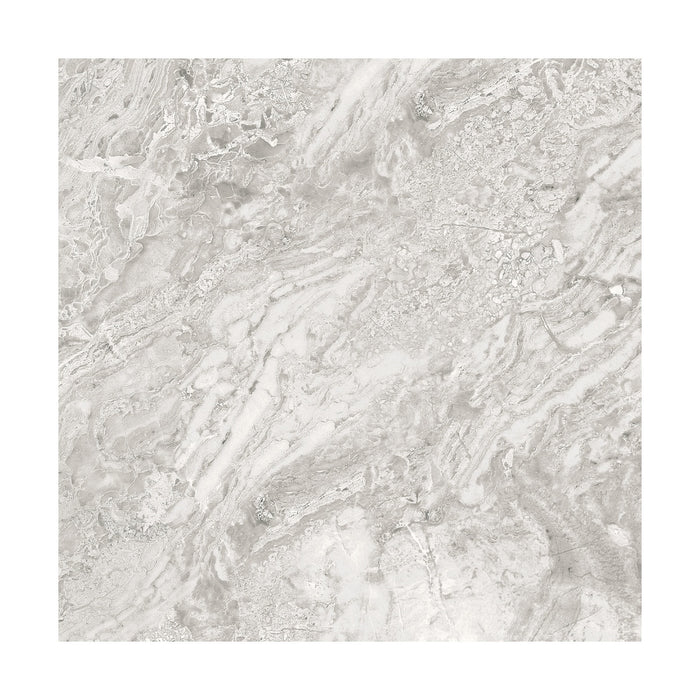 Brescia Grey 22x22 Porcelain Floor Tile 4