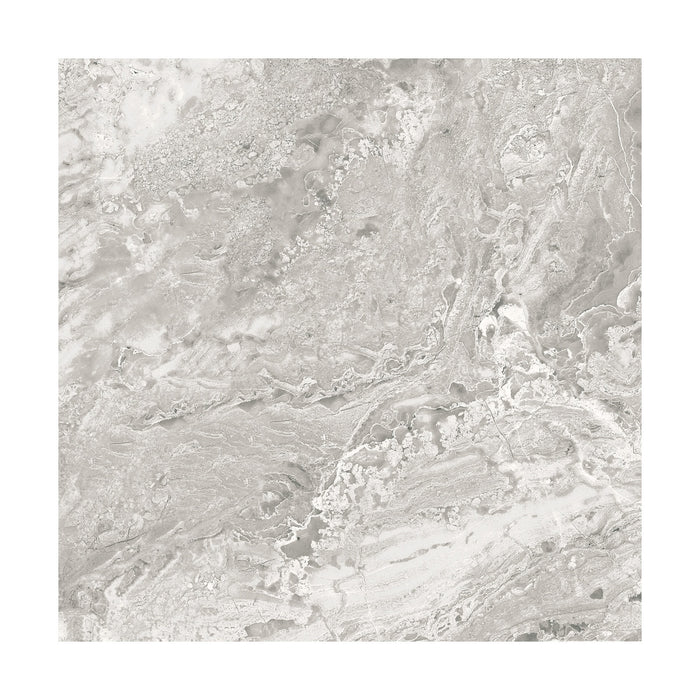 Brescia Grey 22x22 Porcelain Floor Tile 3