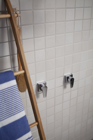 Bathroom wall with towel rack, hooks, and a ladder with a striped towel.