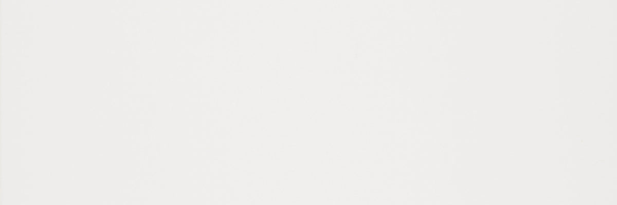 Diamante Branco Matte 12x36 NP Ceramic Tile