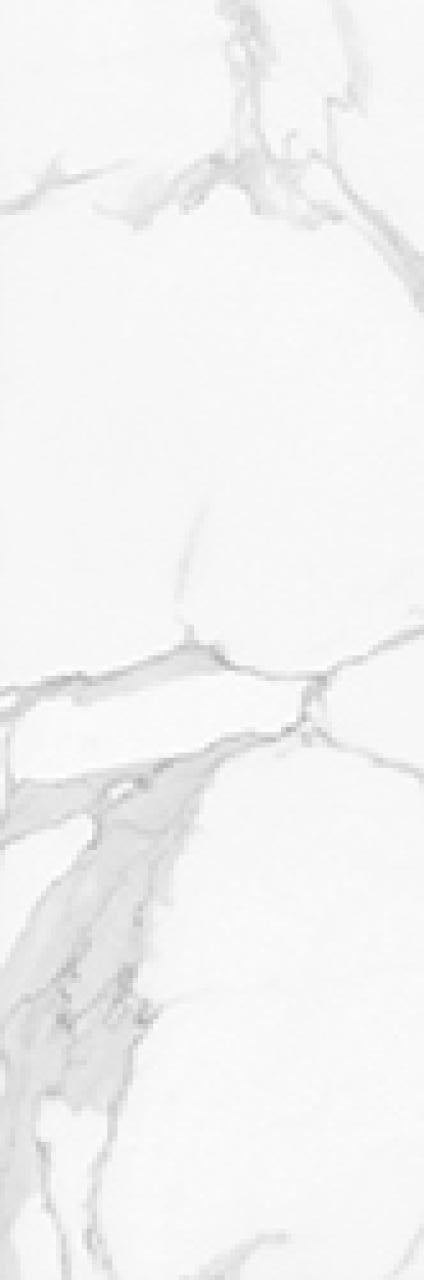 T204305