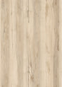 T836955 whitebirch item