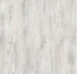 T836957 fossilizedwhite item