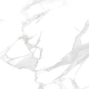 Silver Moon 24x24 Polished Marble Look Porcelain Tile