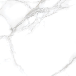 Silver Moon 24x24 Polished Marble Look Porcelain Tile
