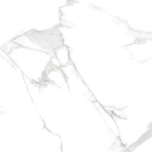 Silver Moon 24x24 Polished Marble Look Porcelain Tile