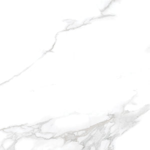 Silver Moon 24x24 Polished Marble Look Porcelain Tile