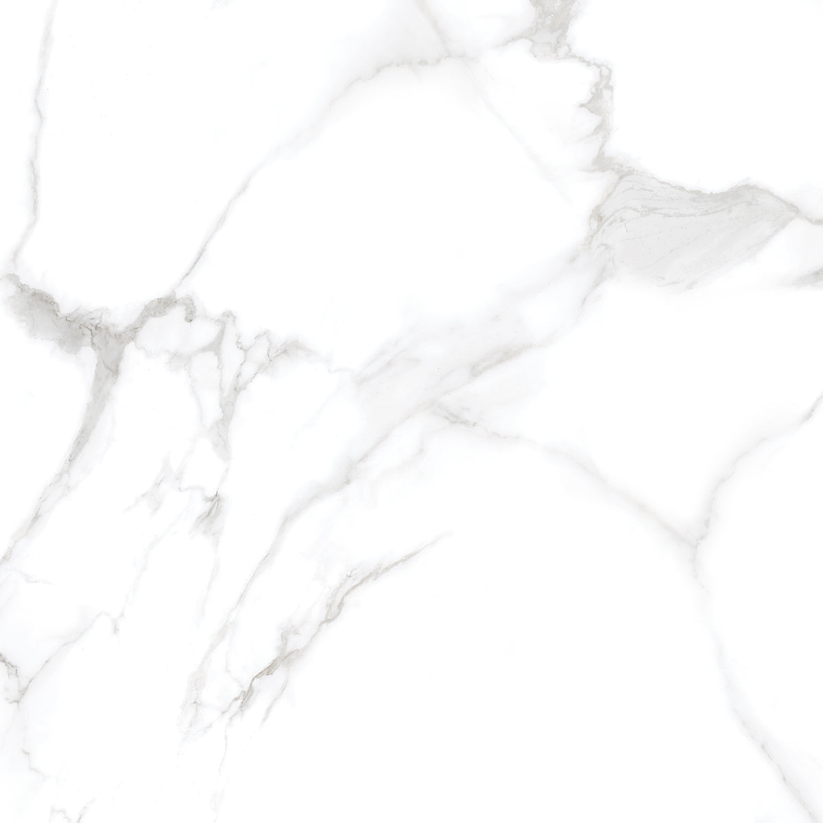 Silver Moon 24x24 Polished Marble Look Porcelain Tile