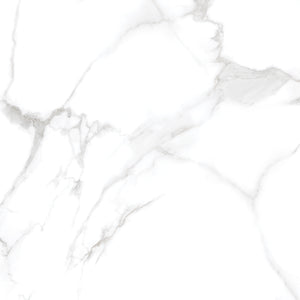 Silver Moon 24x24 Polished Marble Look Porcelain Tile