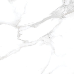 Silver Moon 24x24 Polished Marble Look Porcelain Tile